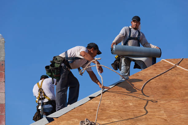 Best Roof Leak Repair  in Cortland, NY