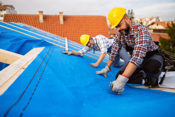 Best Roof Maintenance Services  in Cortland, NY