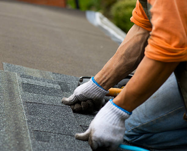 Best Roof Leak Repair  in Cortland, NY